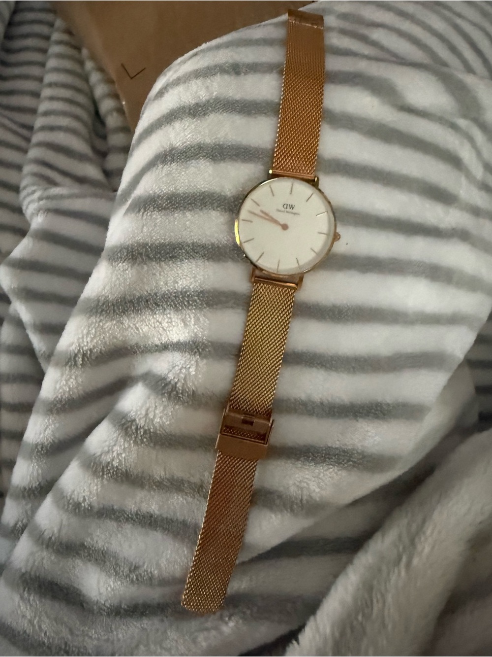 Daniel Wellington Rose Gold Mesh Strap Women's Watch with White Dial